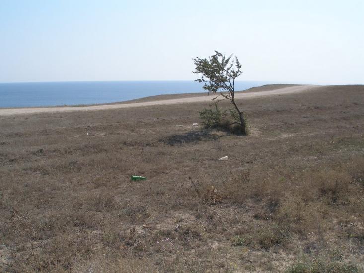 Маяк з panoramio.com - Маяк