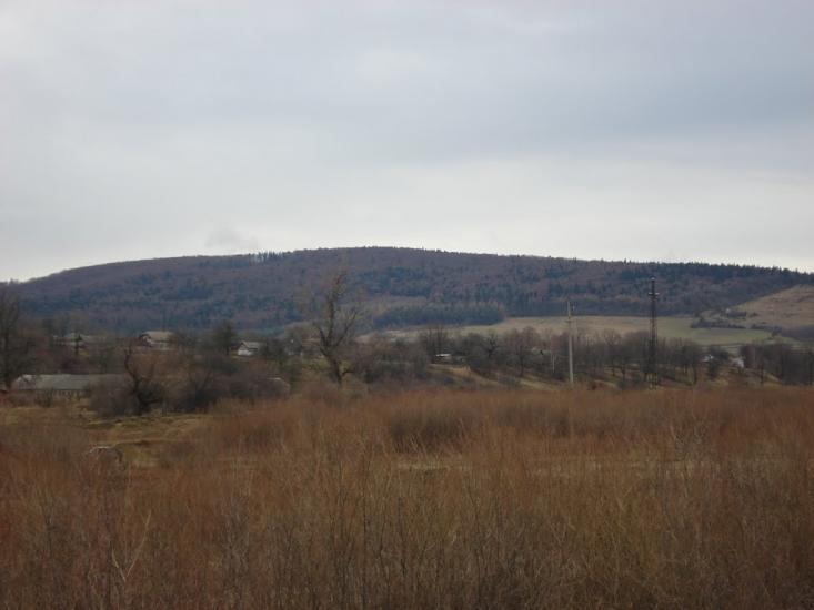 Уріж з panoramio.com - Уріж