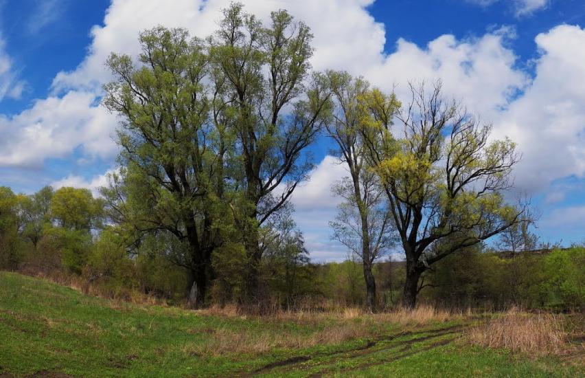 Ольховатка з panoramio.com - Olkhovatka