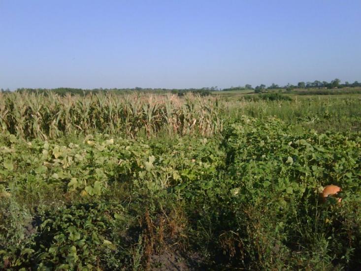 Балаклія з panoramio.com - Балаклея
