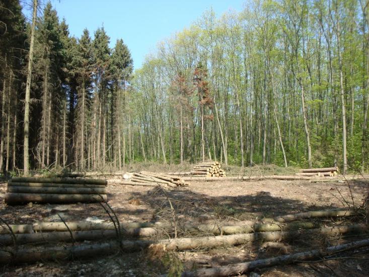 Карпівці з panoramio.com - Карпівці