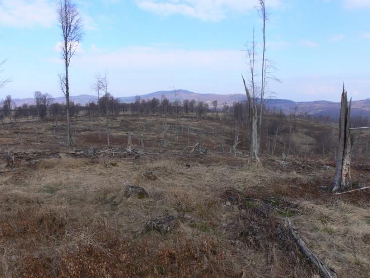 Бедевля з panoramio.com - Бедевля