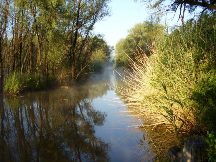 Нижня Хортиця з panoramio.com - Нижняя Хортица