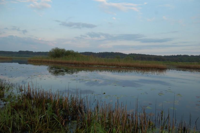 Куликовичі з panoramio.com - Kulykovychi