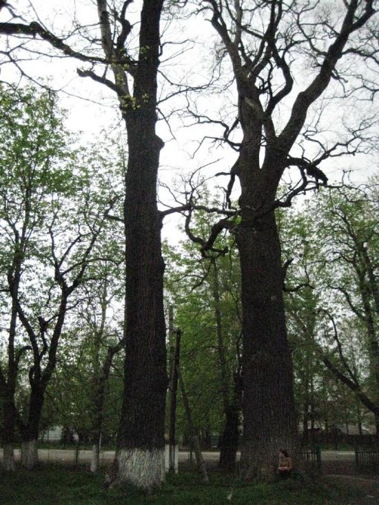 Солотвин з panoramio.com - Солотвин