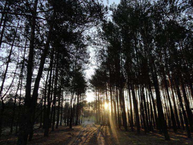 Градиськ з panoramio.com - Градиск