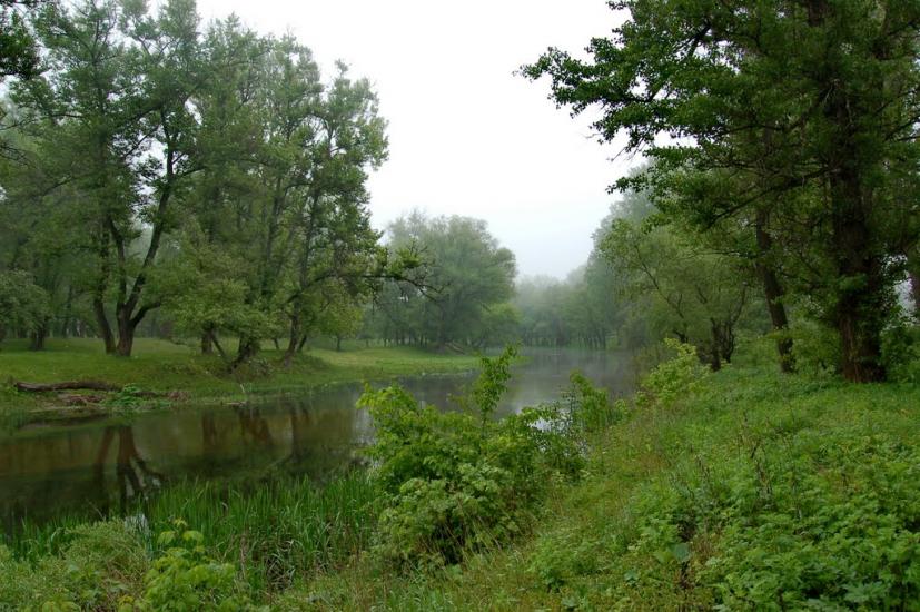 Кремінна з panoramio.com - Кремінна