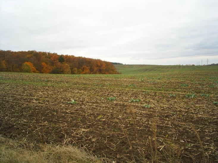 Чижівка з panoramio.com - Чижівка