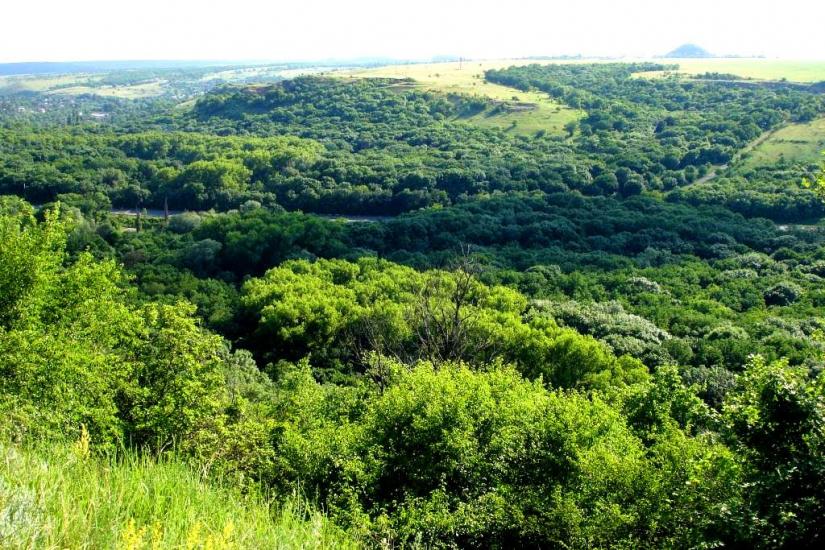 Бокове-Платове з panoramio.com - Боково-Платово