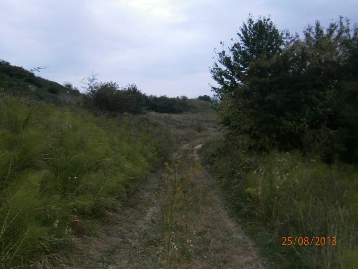 Берездівці з panoramio.com - Берездівці