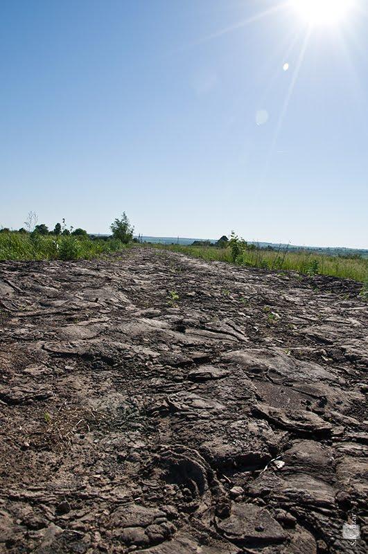 Руська Лозова з panoramio.com - Русская Лозовая