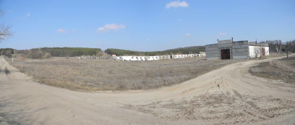 Бірки з panoramio.com - Бирки