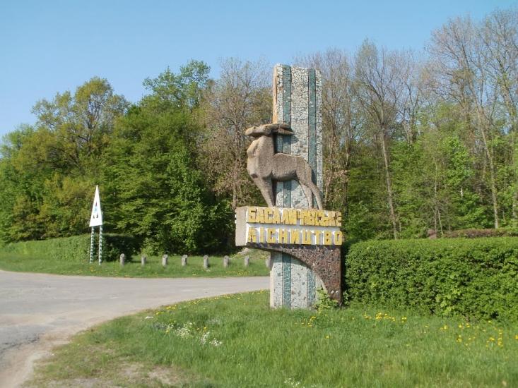 Бубнівка з panoramio.com - Бубновка