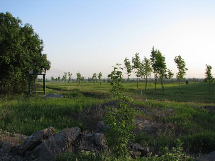 Цвітні Піски з panoramio.com - Цвітні Піски