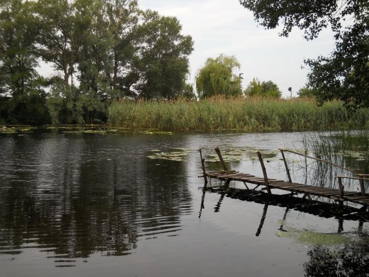 Чапаєвка з panoramio.com - Чапаевка