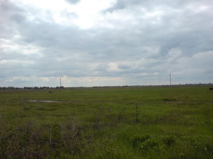 Новопідкряж з panoramio.com - Новопідкряж