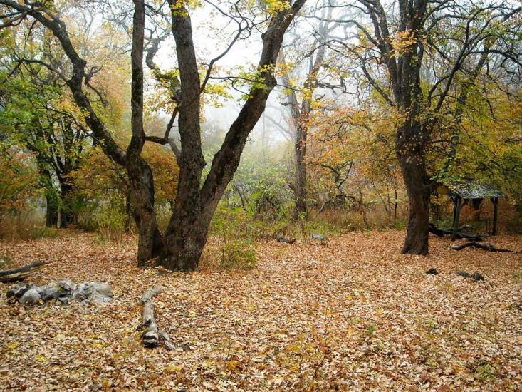 Виноградний з panoramio.com