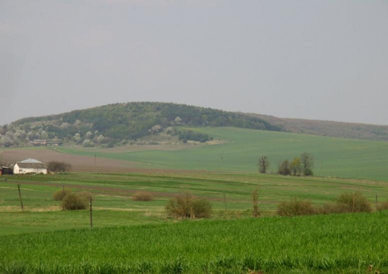 Добринів з panoramio.com - Добринев