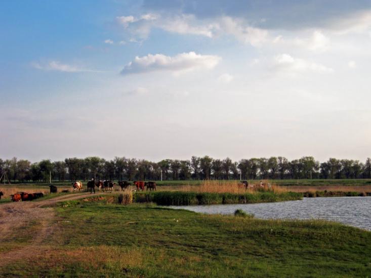 Новопілля з panoramio.com - Новополье