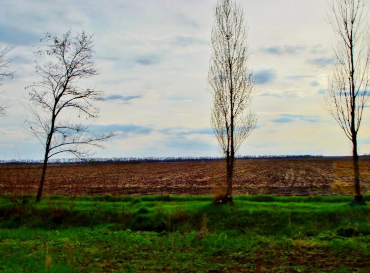 Салиха з panoramio.com - Салиха