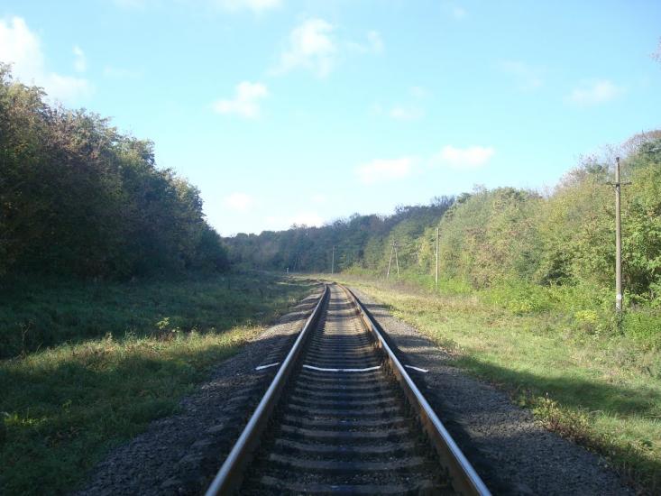 Велика Калинівка з panoramio.com - Велика Калинівка