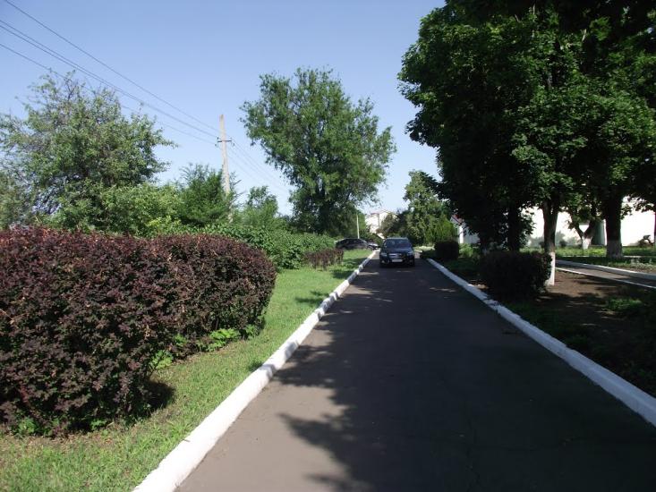 Новогродівка з panoramio.com - Новогродовка