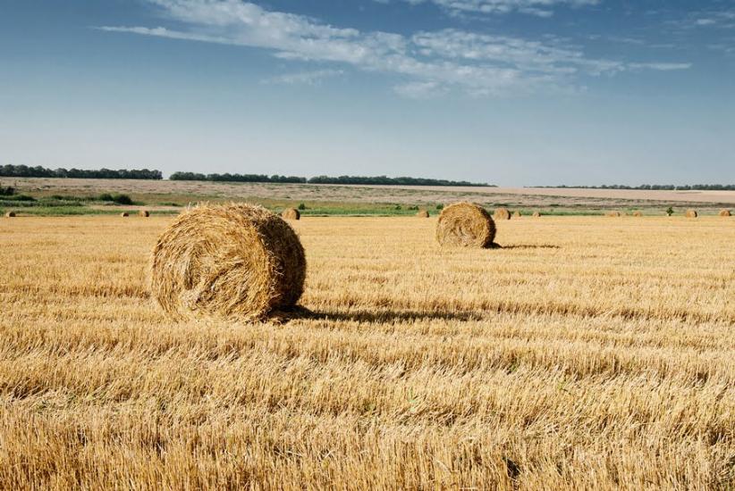 Мангуш з panoramio.com - Мангуш