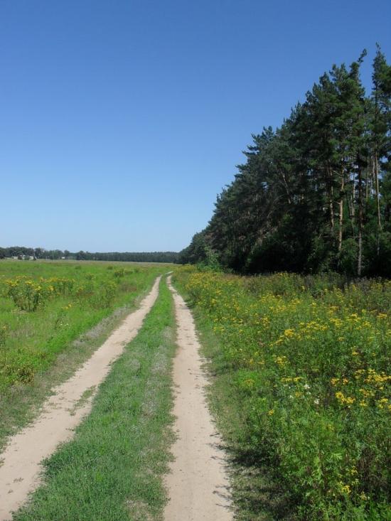Кремінна з panoramio.com - Кремінна