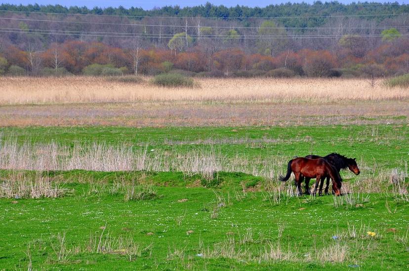 Рава-Руська з panoramio.com - Рава-Русская