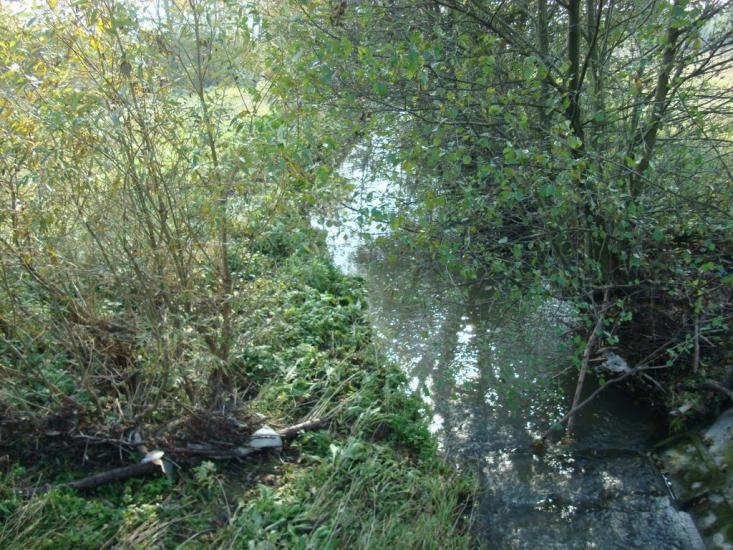 Лісна Слобідка з panoramio.com - Лісна Слобідка