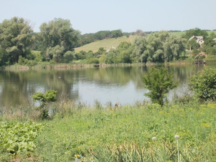 Суха Балка з panoramio.com - Суха Балка