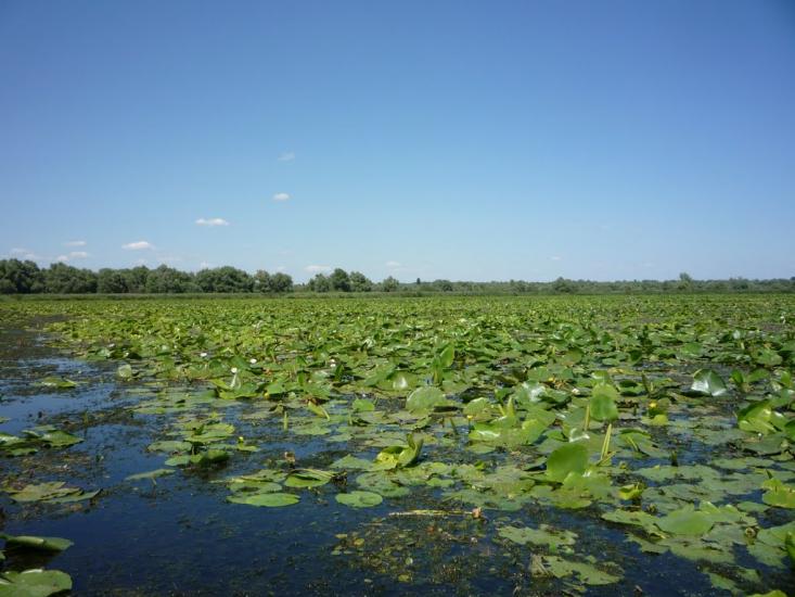 Козачі Лагері з panoramio.com - Козачие Лагеря