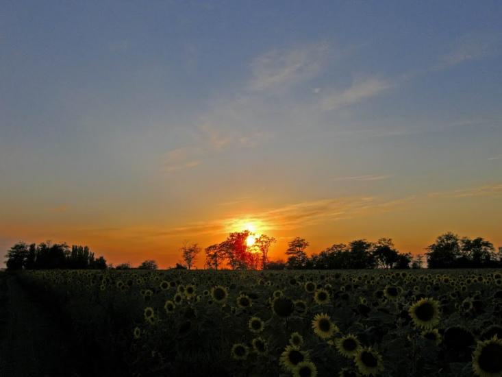 Златопіль з panoramio.com - Златопіль