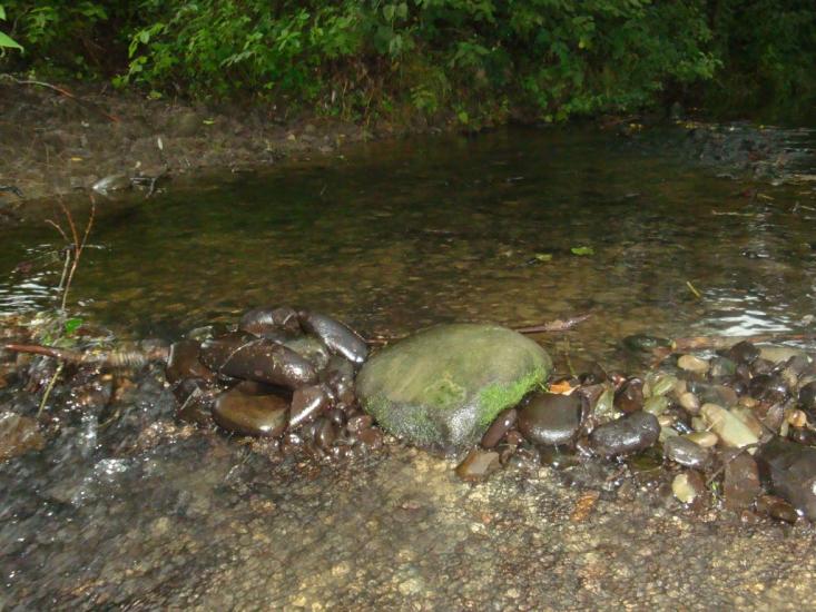 Раківчик з panoramio.com - Rakivchyk