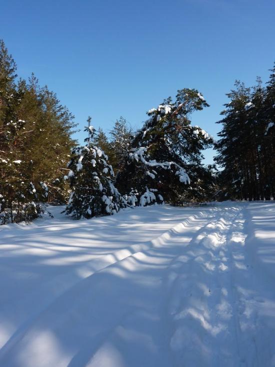 Романків з panoramio.com - Романків