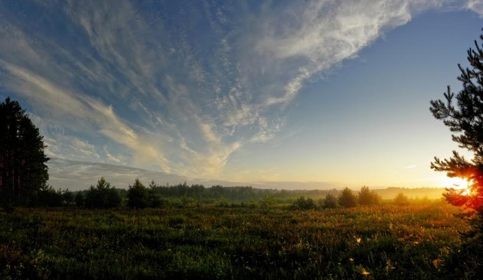 Грибова Рудня з panoramio.com - Грибова Рудня