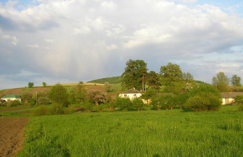 Добринів з panoramio.com - Dobryniv
