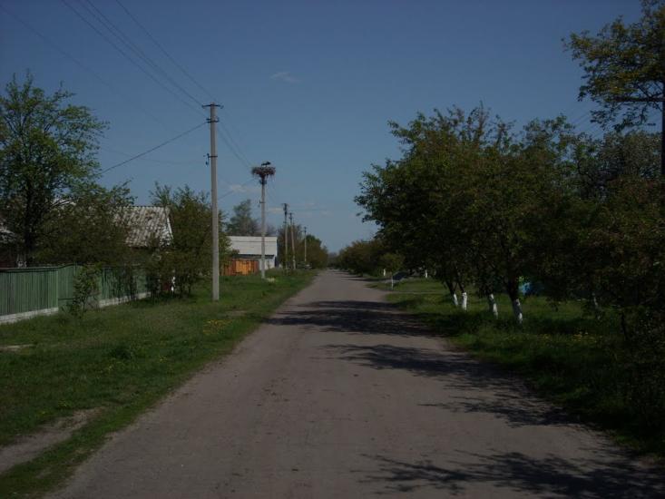 Святилівка з panoramio.com - Святиловка