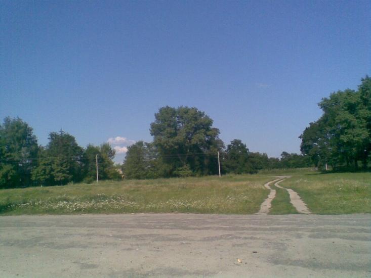 Березняки з panoramio.com - Березняки