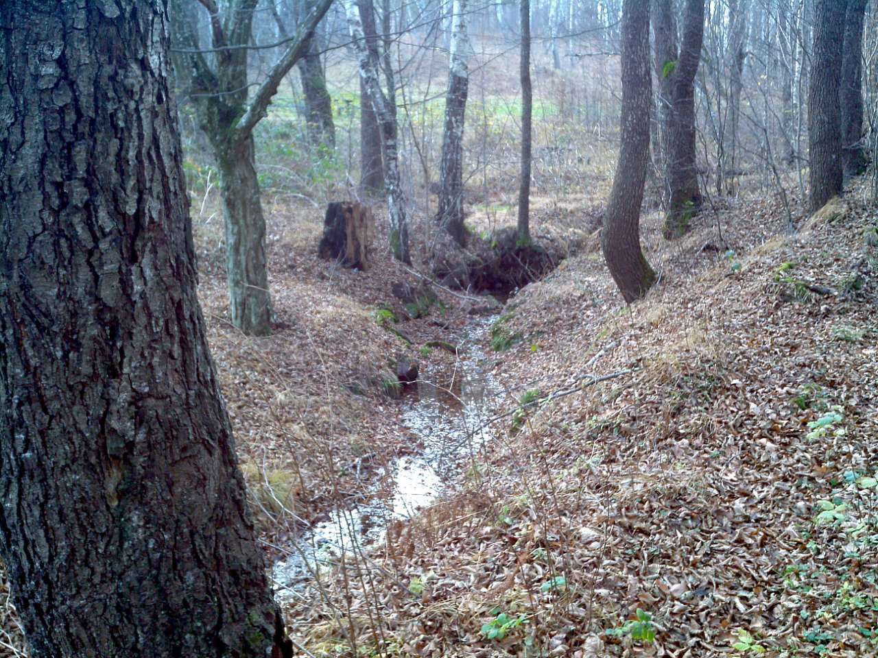 Городище - Городец