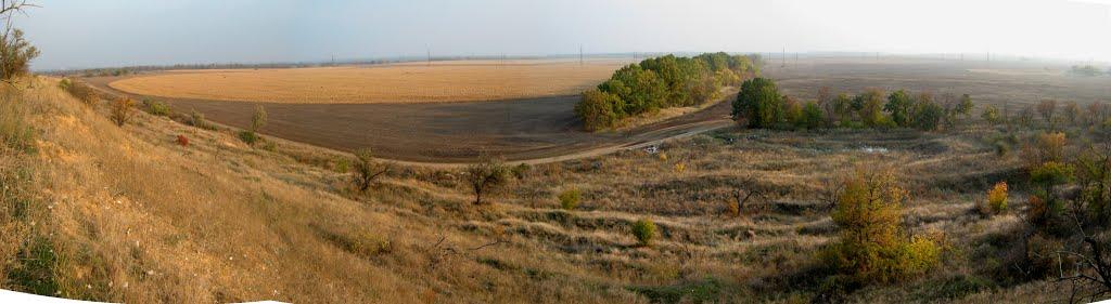 Старозаводське з panoramio.com - Старозаводское