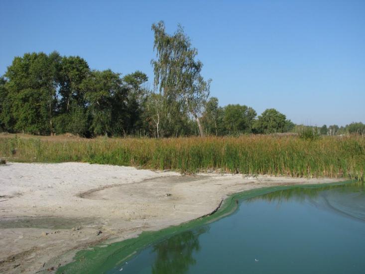 Ліпляве з panoramio.com - Лепляво