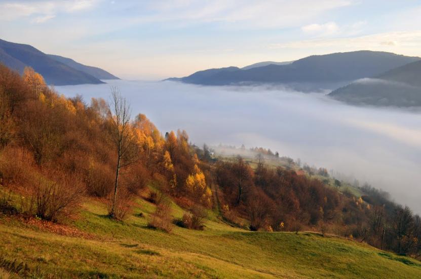Кваси з panoramio.com - Квасы