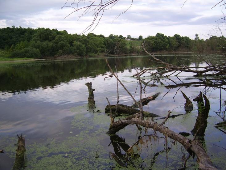 Грабовське з panoramio.com - Грабовське