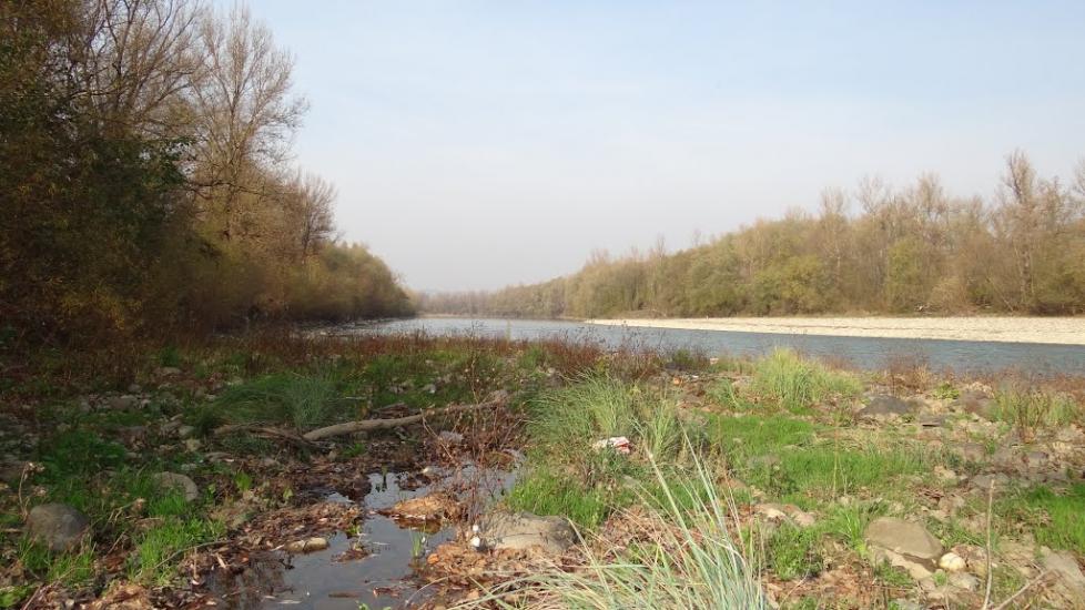 Бедевля з panoramio.com - Bedevlya
