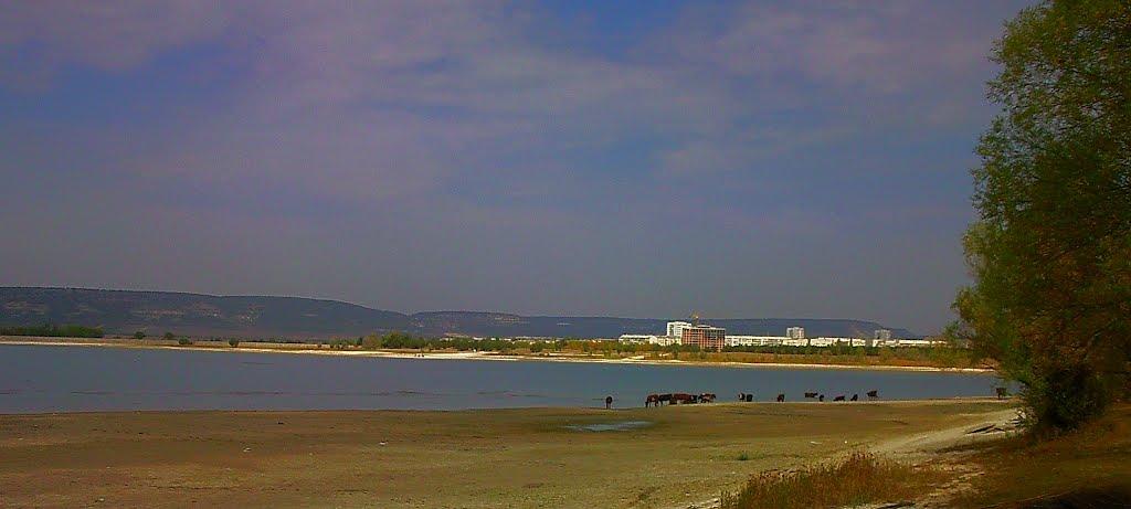 Дачне з panoramio.com - Дачное