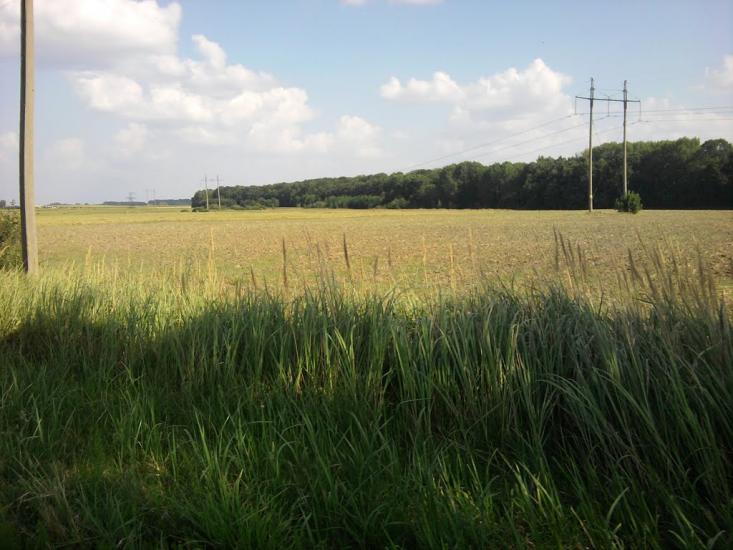 Терехівка з panoramio.com - Терехівка