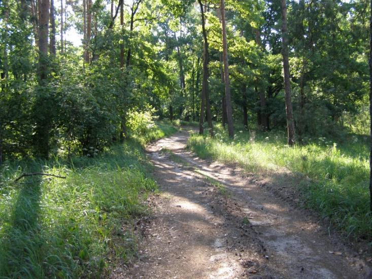 Ліпляве з panoramio.com - Лепляво
