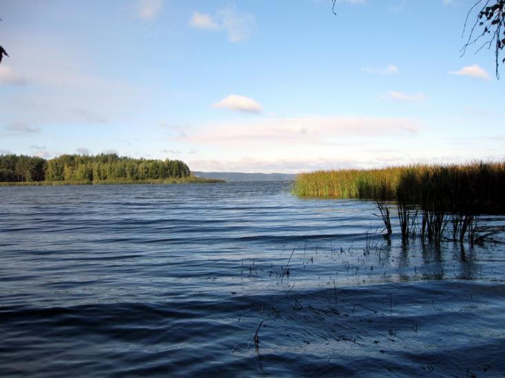 Ліпляве з panoramio.com - Лепляво