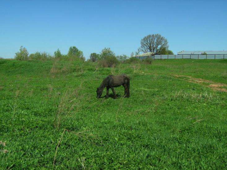 Ясниська з panoramio.com - Ясниська